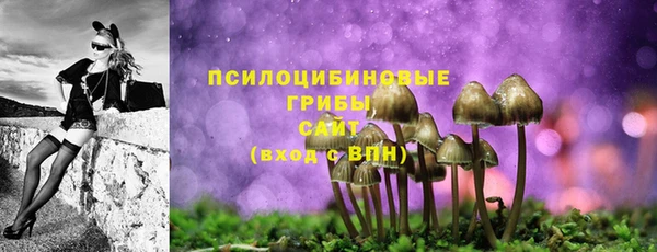 первитин Каменногорск