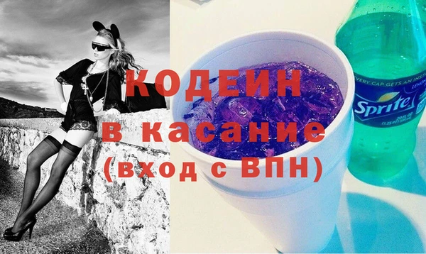 дмт Болотное