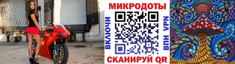 как найти наркотики  Межгорье  Псилоцибиновые грибы GOLDEN TEACHER 